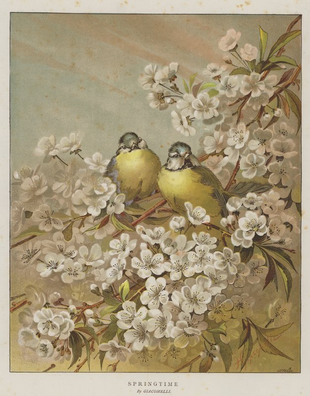 Printemps (chromolitho) - English School