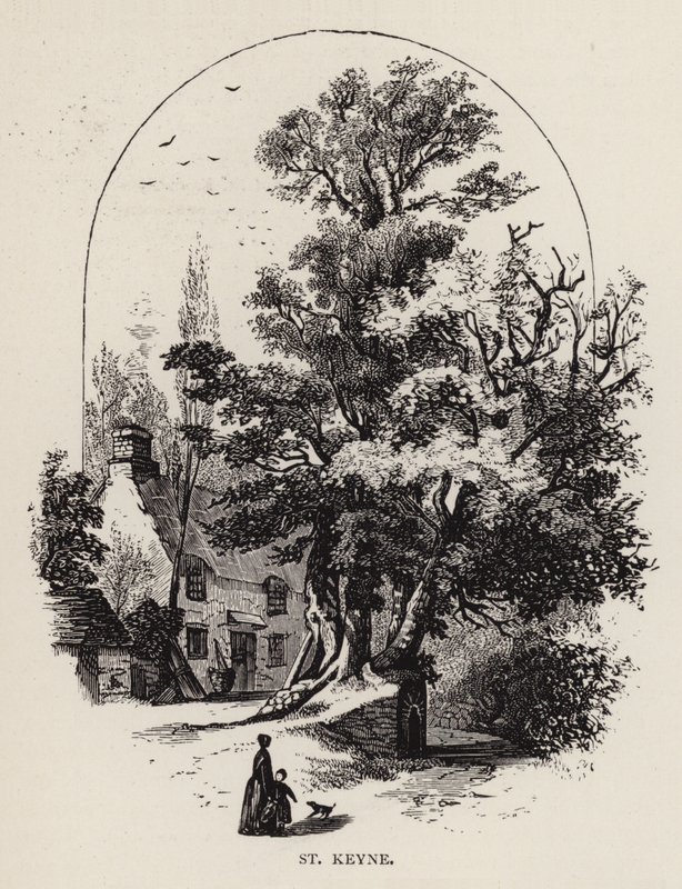 Saint Keyne (gravure) - English School