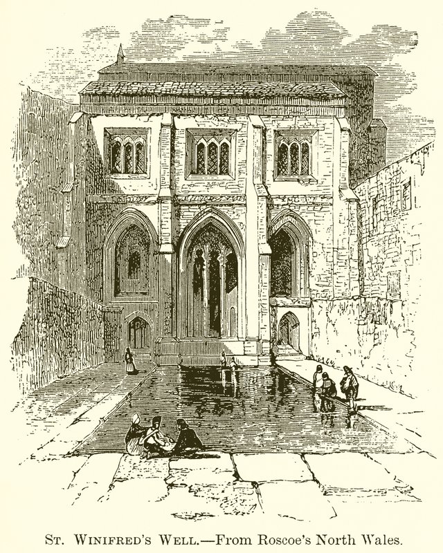Puits de Sainte Winifred - English School