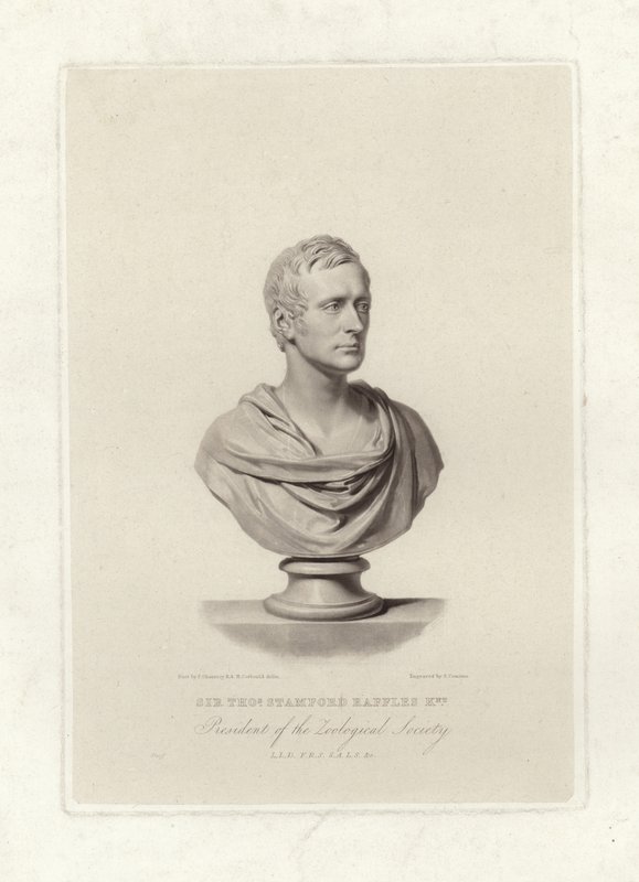 Stamford Raffles - English School
