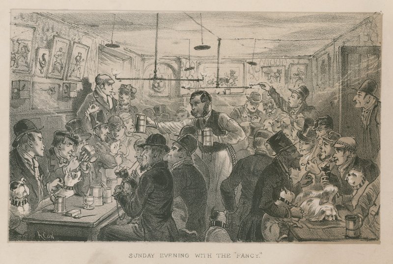 Soirée du dimanche avec les Fancy - English School
