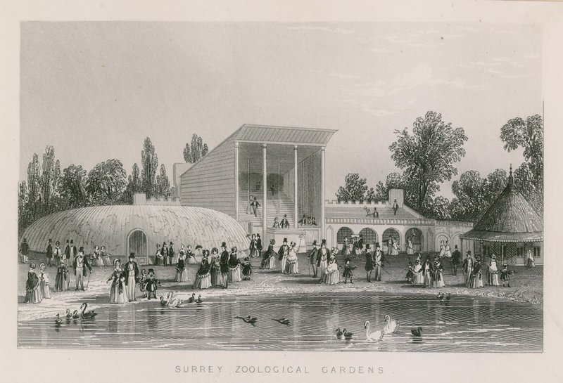 Jardins zoologiques du Surrey - English School