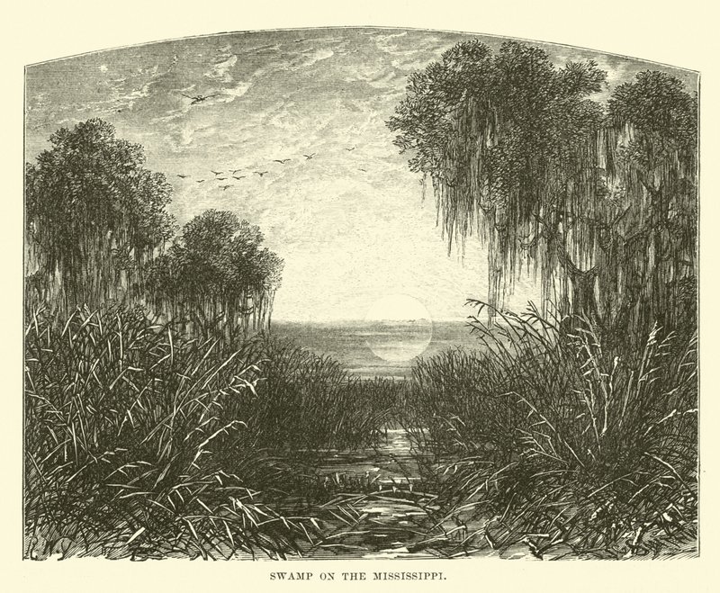 Marais sur le Mississippi - English School