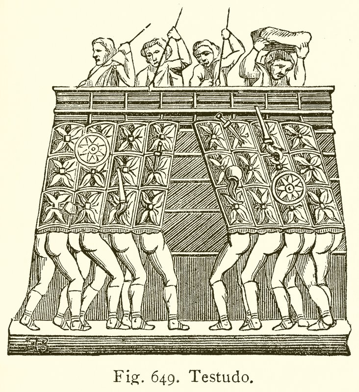 Testudo - English School