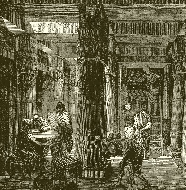 La bibliothèque d