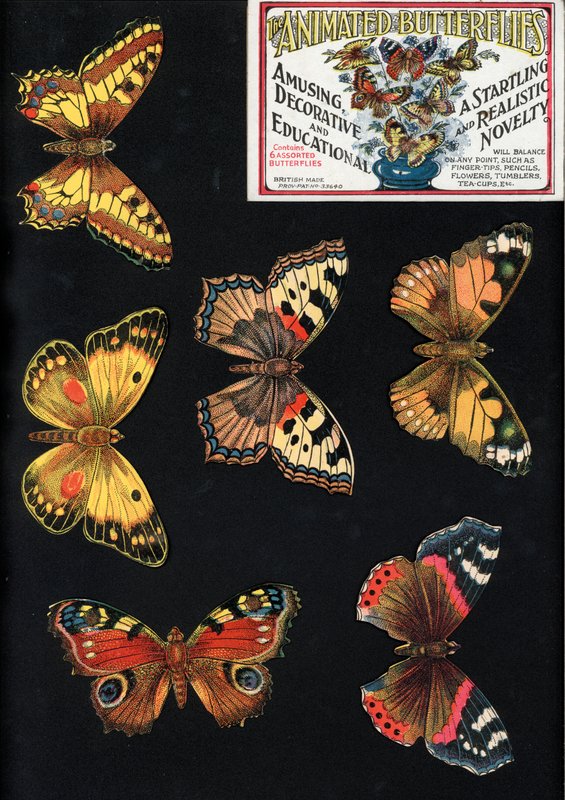 Les Papillons Animés, Amusants, Décoratifs et Éducatifs, Une Nouveauté Étonnante et Réaliste - English School