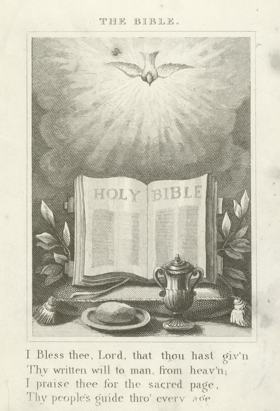 La Bible - English School