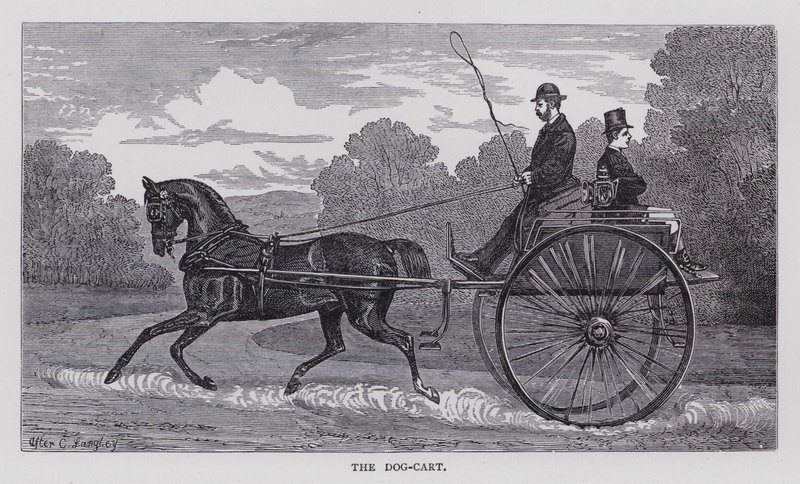 Le Dog-Cart - English School