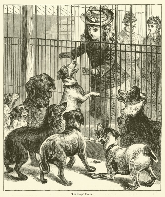 La maison des chiens (gravure) - English School