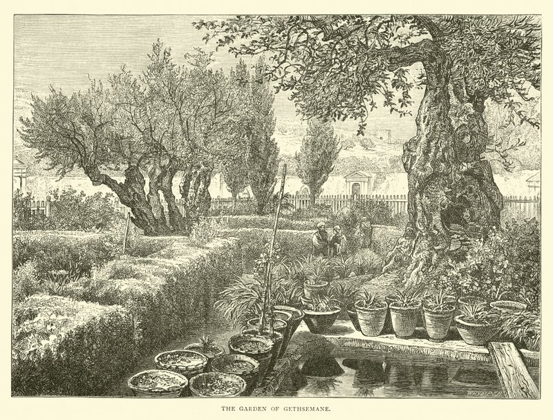 Le Jardin de Gethsémani - English School