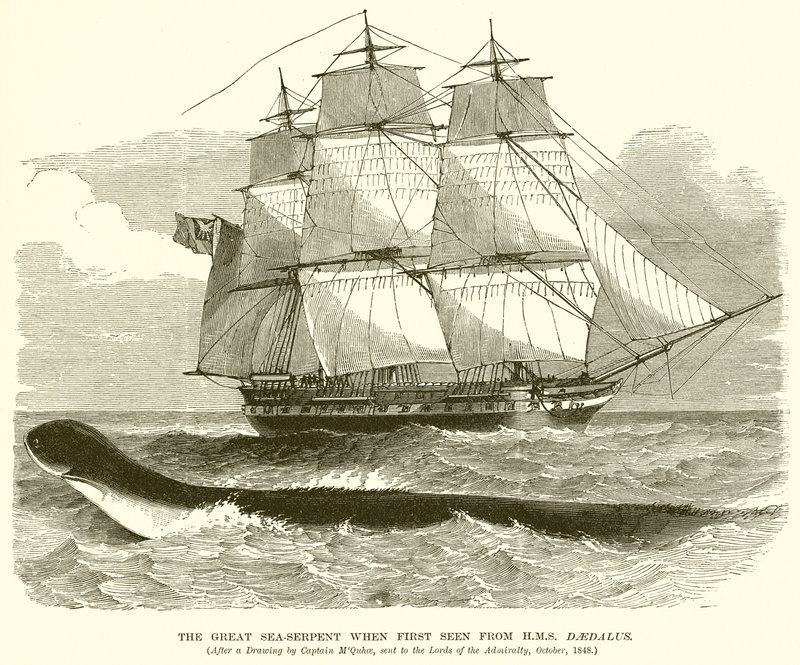 Le grand serpent de mer vu pour la première fois depuis le H.M.S. Daedalus - English School