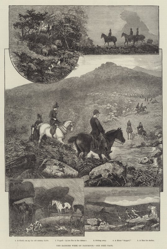 La semaine du Harrier à Dartmoor (gravure) - English School