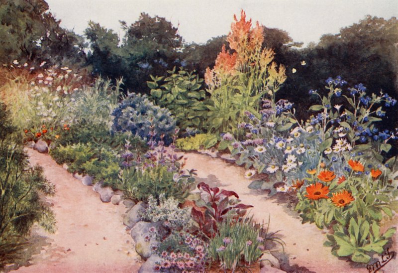 Le Jardin des Herbes : Bordures d