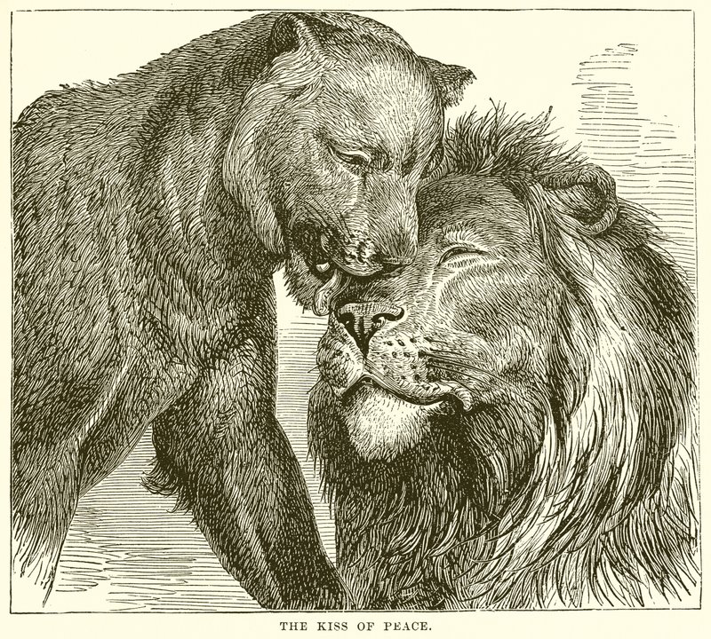Le baiser de paix - English School