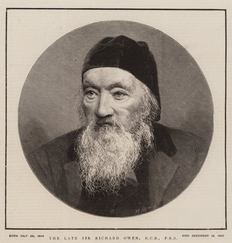 Feu Sir Richard Owen, KCB, FRS (gravure) - English School