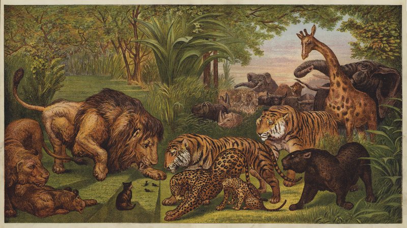 La Réception du Lion - English School