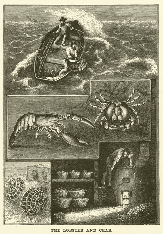 Le homard et le crabe - English School