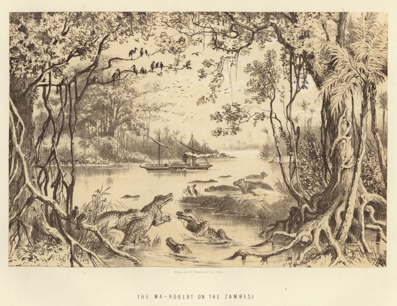 Le Ma-Robert sur le Zambèze - English School