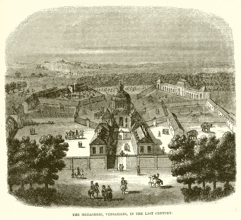 La Ménagerie, Versailles, au siècle dernier - English School