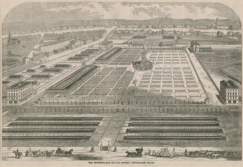 Le Marché aux Bestiaux Métropolitain, Copenhagen Fields, Londres - English School