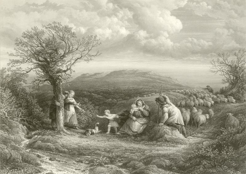 Les bergers de la montagne - English School