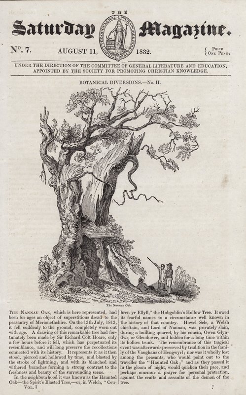 Le chêne de Nannau - English School
