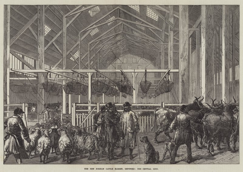 Le nouveau marché aux bestiaux étrangers, Deptford, le hangar central - English School