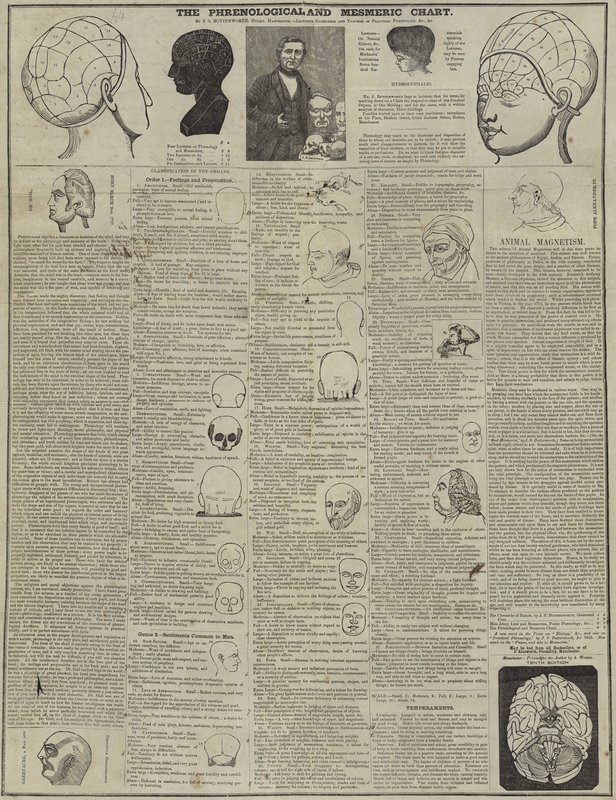 Le tableau phrénologique et mesmérique - English School