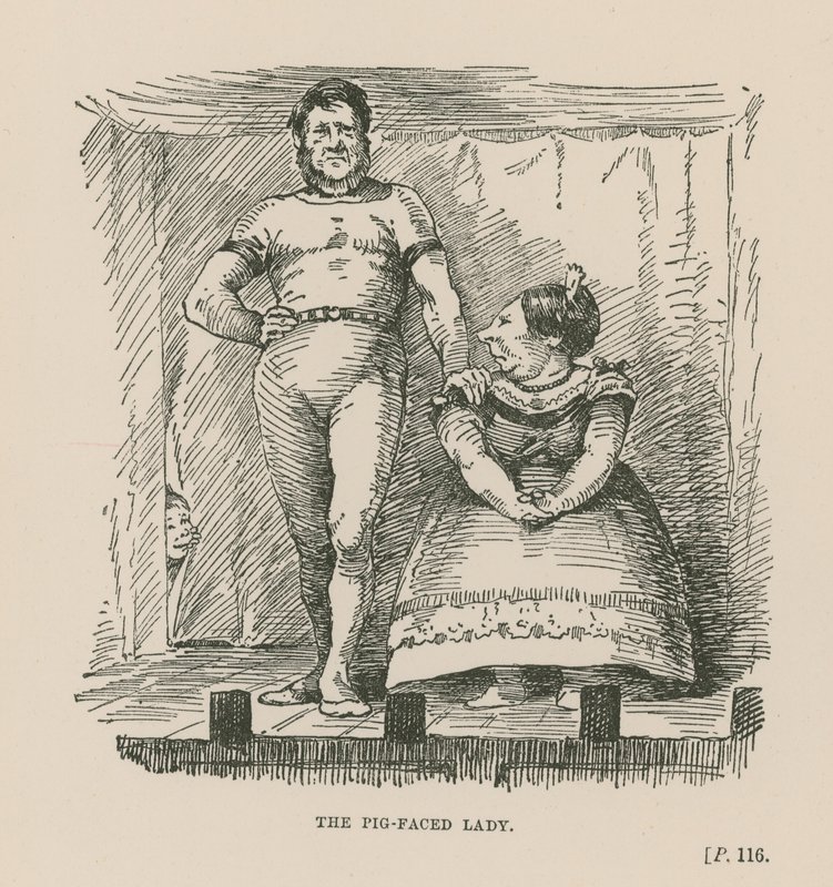 La dame au visage de cochon - English School