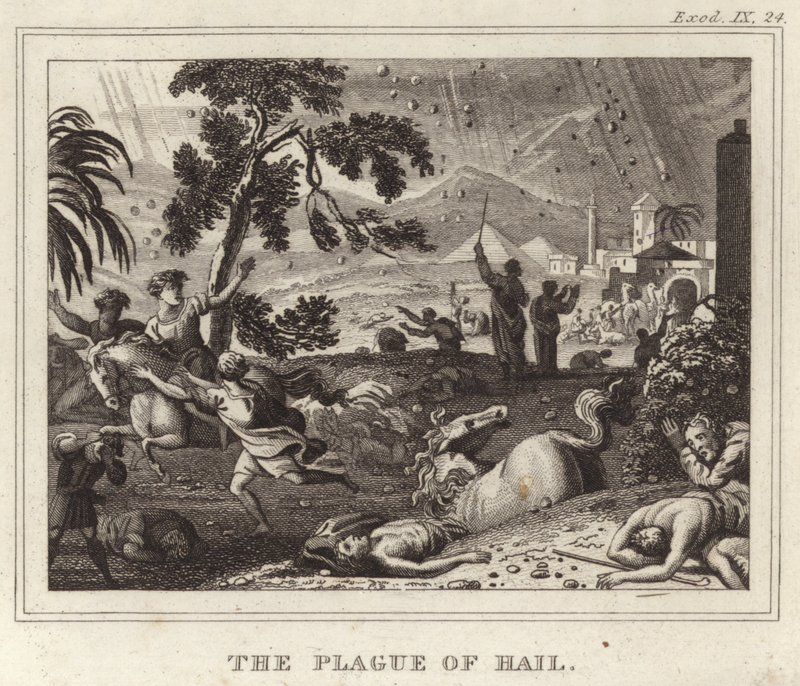 La Plaie de la grêle - English School