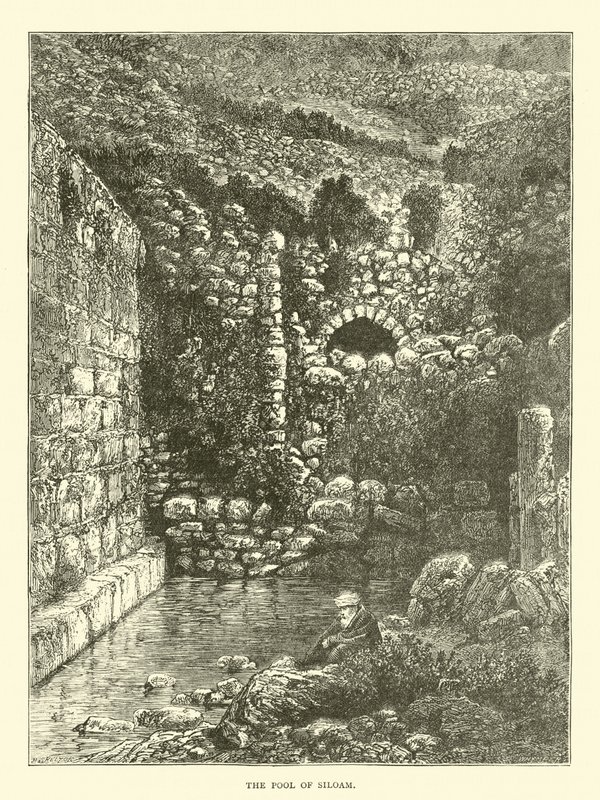 La piscine de Siloé - English School