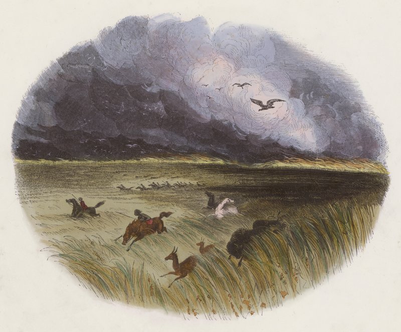 La prairie en feu (gravure en couleur) - English School