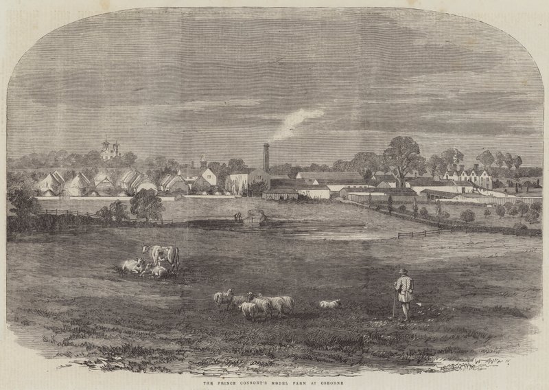 La ferme modèle du prince consort à Osborne (gravure) - English School