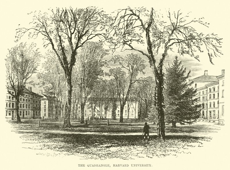 Le Quadrangle, Université Harvard - English School