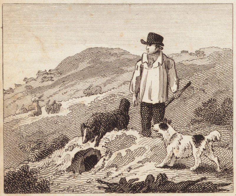 Le Terrier de Lapins (gravure) - English School