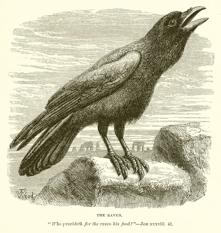 Le Corbeau - English School