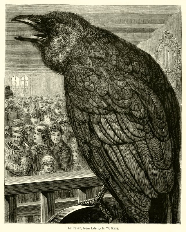 Le corbeau, d