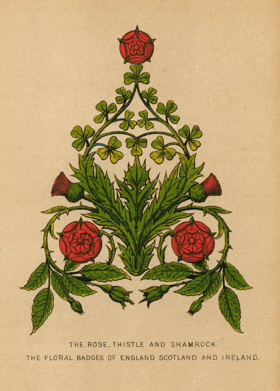 La rose, le chardon et le trèfle. Les emblèmes floraux de l