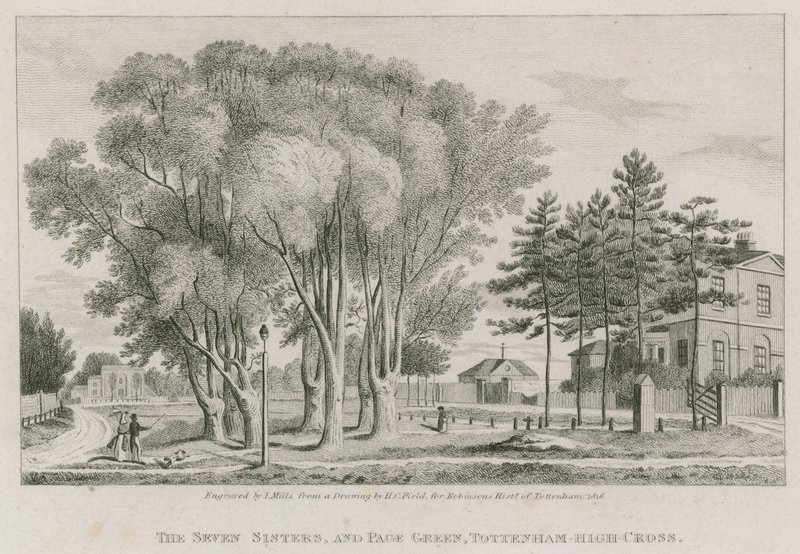 Les Sept Sœurs et Page Green, Tottenham High-Cross, Londres - English School