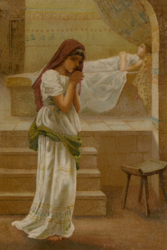 La femme sunamite - English School