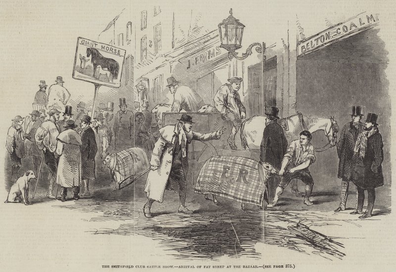 Exposition du Club de Smithfield, arrivée des moutons gras au bazar - English School