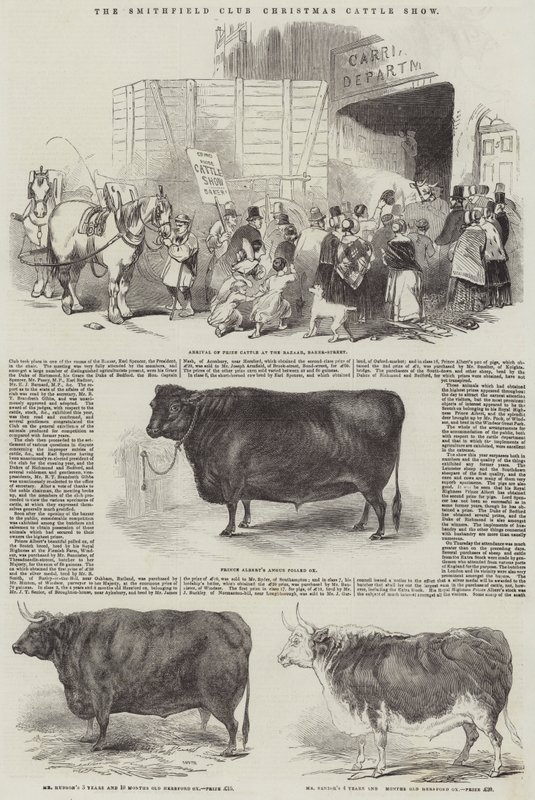 Exposition de bétail de Noël du Smithfield Club - English School