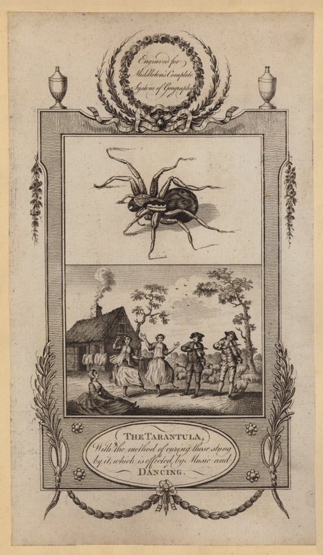 La tarentule, avec la méthode de guérison des piqûres, qui est effectuée par la musique et la danse - English School