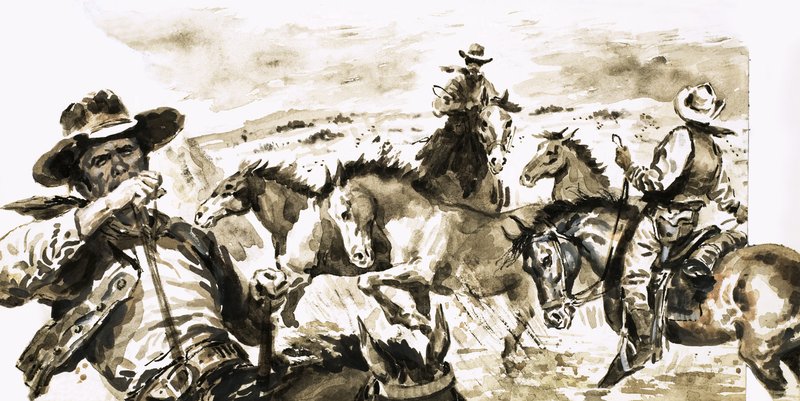 Le Texas Ranger - English School