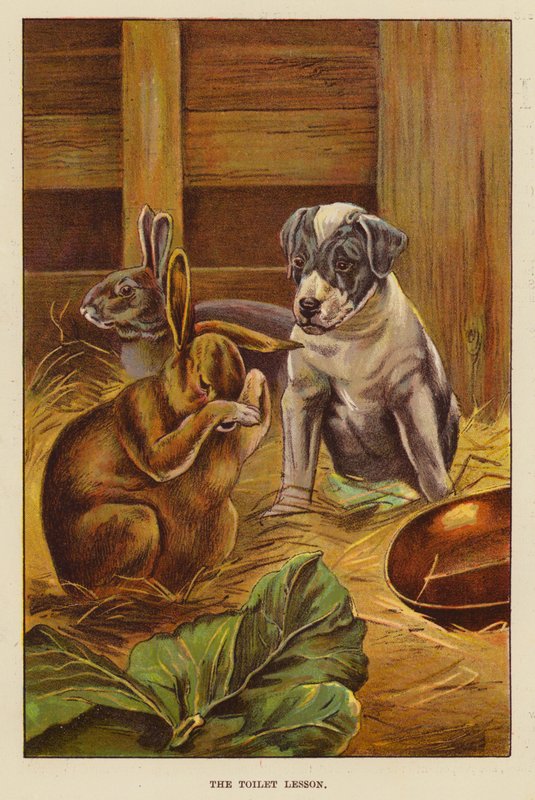 La Leçon de toilette - English School