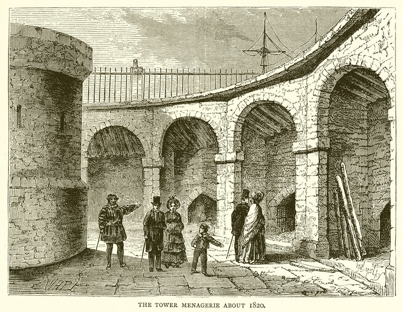 La ménagerie de la Tour vers 1820 - English School