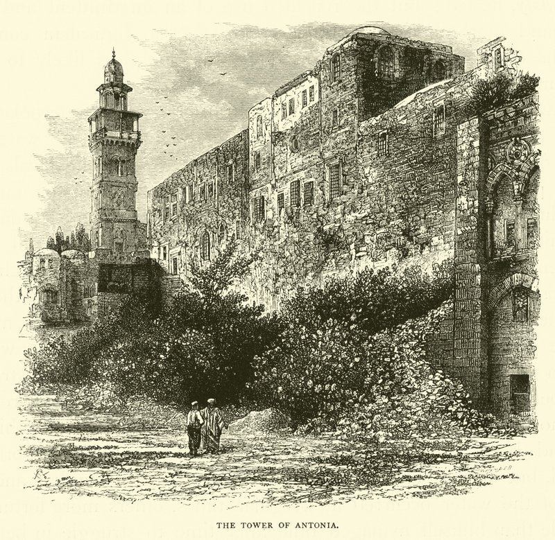 La tour d