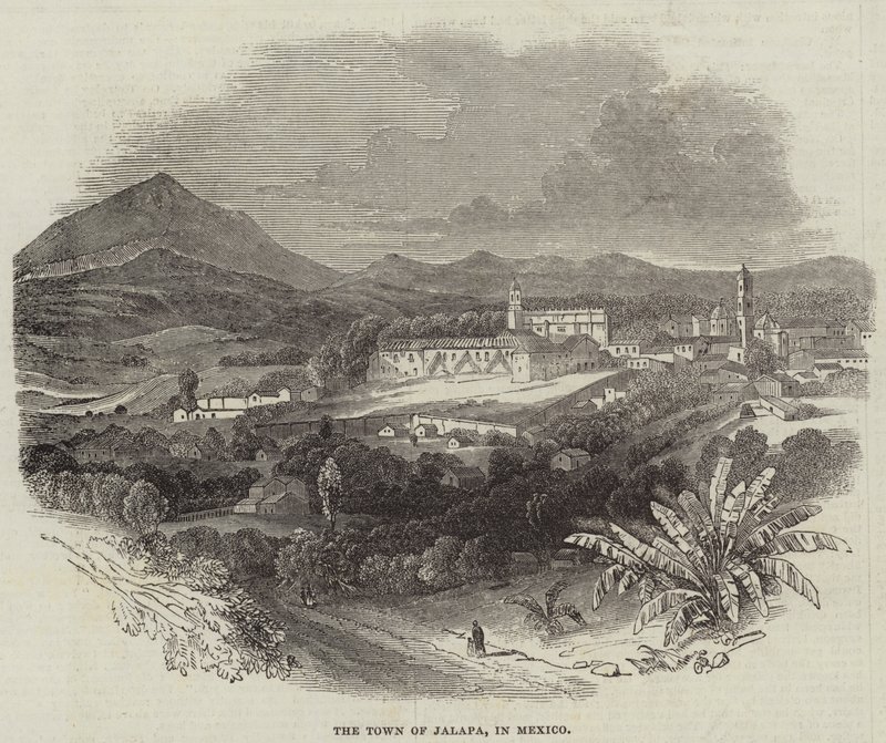 La Ville de Jalapa, au Mexique (gravure) - English School