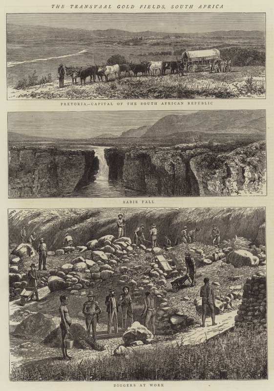 Les champs aurifères du Transvaal, Afrique du Sud (gravure) - English School