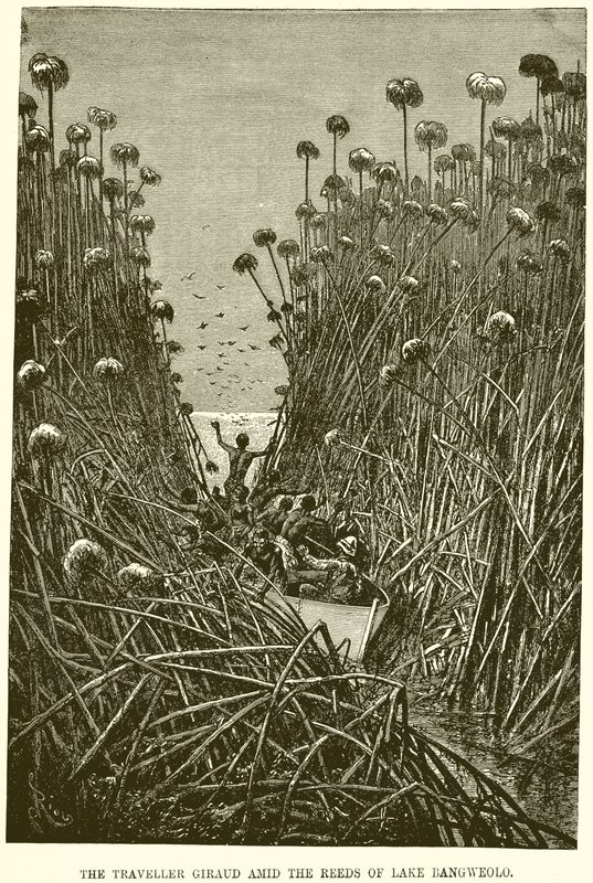 Le voyageur Giraud parmi les roseaux du lac Bangweolo - English School
